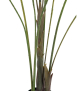 EUROPALMS Großblatt-Areca, Kunstpflanze, 185cm