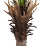 EUROPALMS Phönix Palme deluxe, Kunstpflanze 220cm