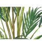 EUROPALMS Kanarische Dattelpalme, Kunstpflanze, 240cm EUROPALMS Kanarische Dattelpalme, Kunstpflanze, 240cm