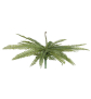 EUROPALMS Königsfarn,Kunstpflanze,  grün, 70cm