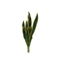 EUROPALMS Bogenhanf (EVA), künstlich, grün-gelb, 60cm EUROPALMS Bogenhanf (EVA), künstlich, grün-gelb, 60cm