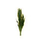 EUROPALMS Bogenhanf (EVA), künstlich, grün-gelb, 60cm EUROPALMS Bogenhanf (EVA), künstlich, grün-gelb, 60cm