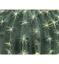 EUROPALMS Kugelkaktus, Kunstpflanze, 34cm