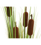 EUROPALMS Rohrkolben, Kunstpflanze, 150cm