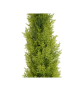 EUROPALMS Zypresse, Leyland, Kunstpflanze, 120cm EUROPALMS Zypresse, Leyland, Kunstpflanze, 120cm