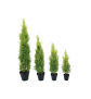 EUROPALMS Zypresse, Leyland, Kunstpflanze, 120cm EUROPALMS Zypresse, Leyland, Kunstpflanze, 120cm