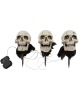 EUROPALMS Halloween Totenköpfe mit Erdspieß, 3er-Set, 29cm